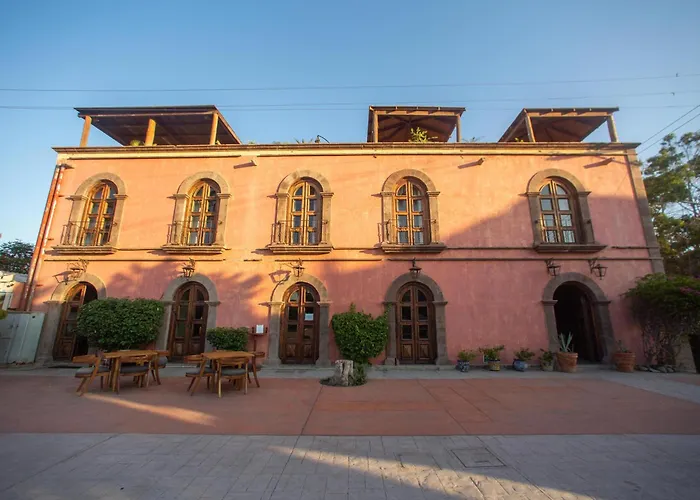 Pet Friendly hotel: Hotel Boutique Posada De Las Flores Loreto